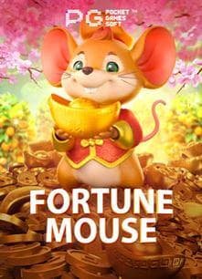 ck44 co